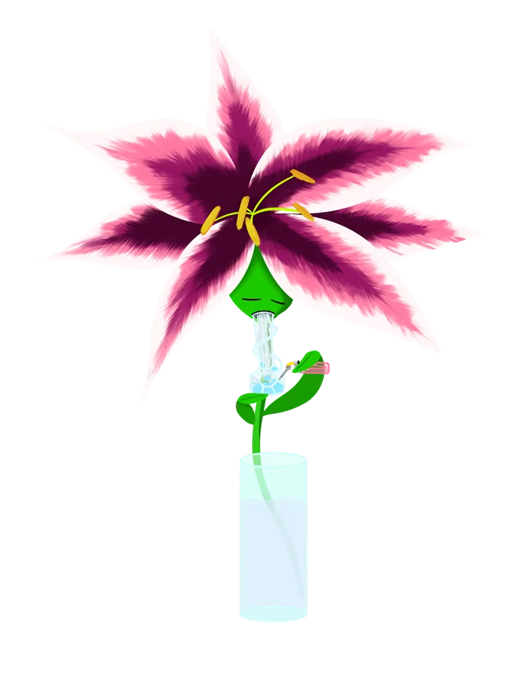 Lit Lily